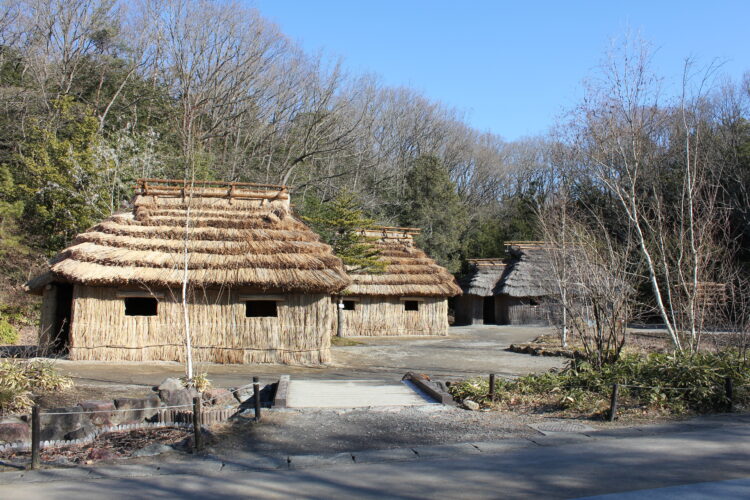 無料解説ガイド（アイヌ・台湾エリア）