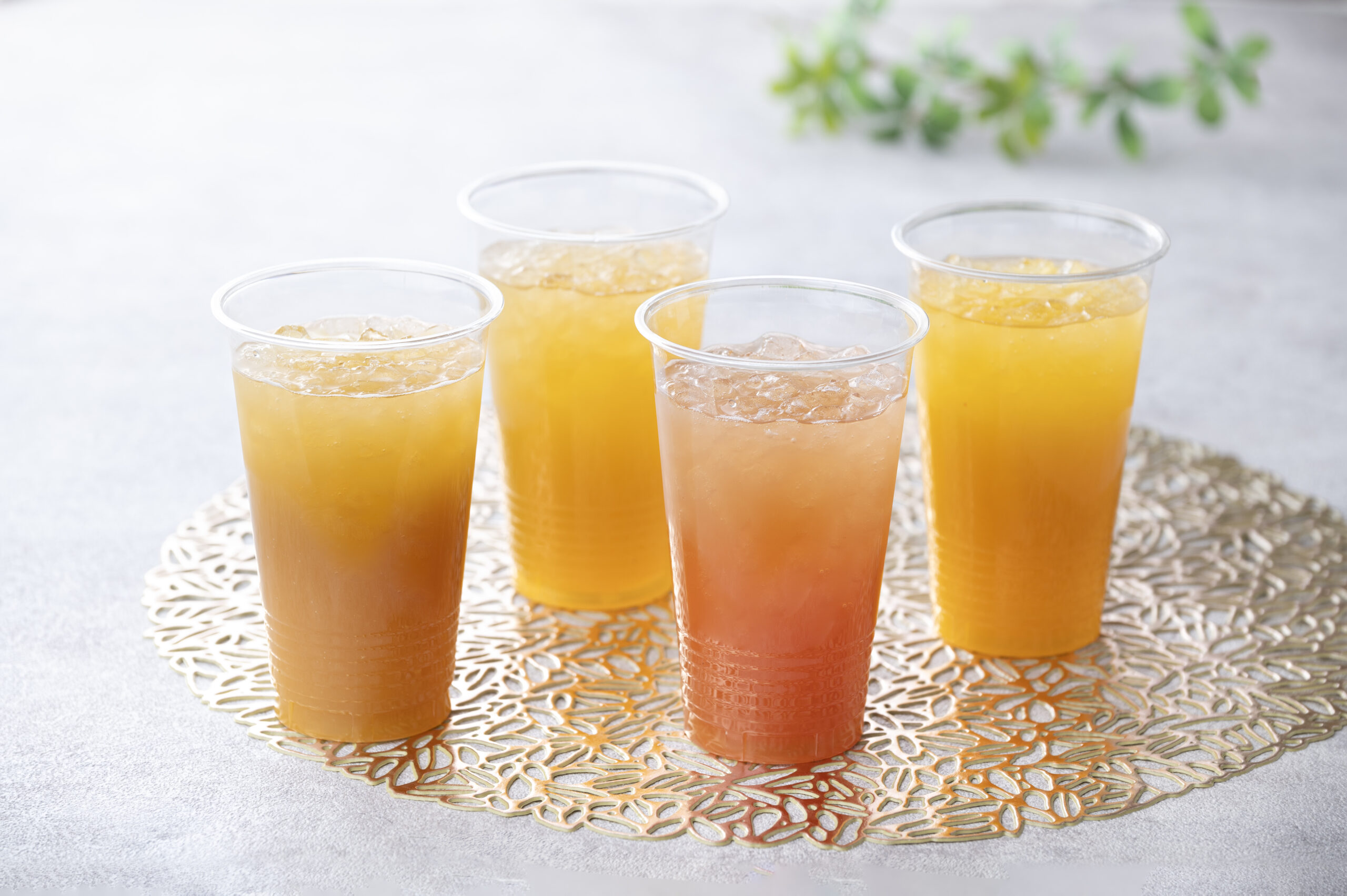 トロピカルジュース各種