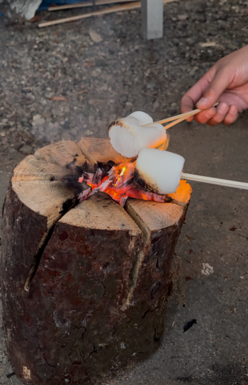 スウェーデントーチの炎で温まろう
