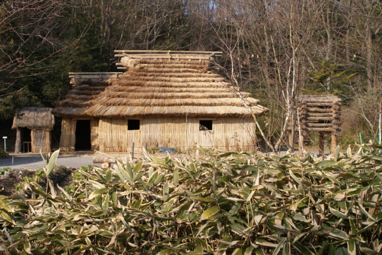 「楽しく学ぶ！文化人類学教室」第５回